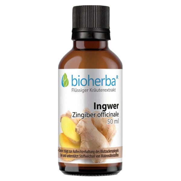 Bioherba Ingwer Zingiber officinale Tropfen Tinktur 50 ml