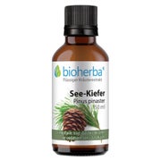 Bioherba See-Kiefer Pinus pinaster Tropfen Tinktur 50 ml