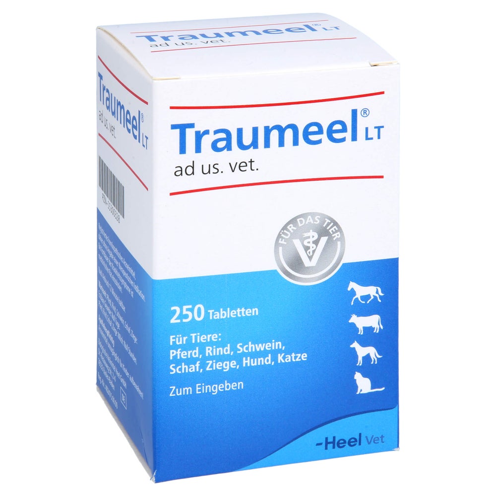 Traumeel LT ad us.vet.Tabletten 250 St