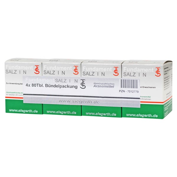 Fundament-salz I N Tabletten 4X80 St