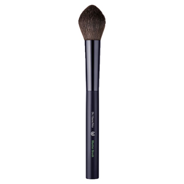 Dr.hauschka Blusher Brush 1 St