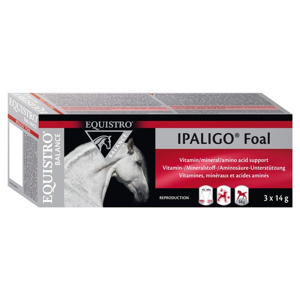EQUISTRO Ipaligo Foal Erg.Futterm.Paste f.Pferde 3X14 g