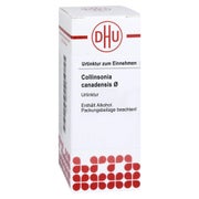 Produktabbildung: Collinsonia Canadensis Urtinktur 20 ml