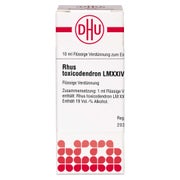 RHUS Toxicodendron LM XXIV Dilution 10 ml