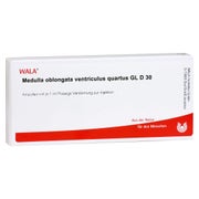 Produktabbildung: Medulla Oblongata Ventriculus quartus GL 10X1 ml