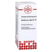 Produktabbildung: Sambucus Nigra D 12 Dilution 20 ml