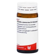 Produktabbildung: Oxalis E Planta tota D 3 Globuli 20 g