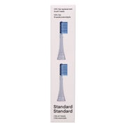 Ion-sei Ersatzbürstenköpfe Standard 2 St
