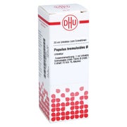 Populus Tremuloides Urtinktur 20 ml