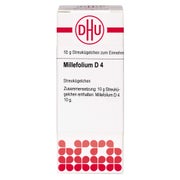 Millefolium D 4 Globuli 10 g