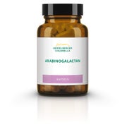 Produktabbildung: Arabinogalactan Kapseln 24 g