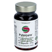 Pylocura Pro 60 St